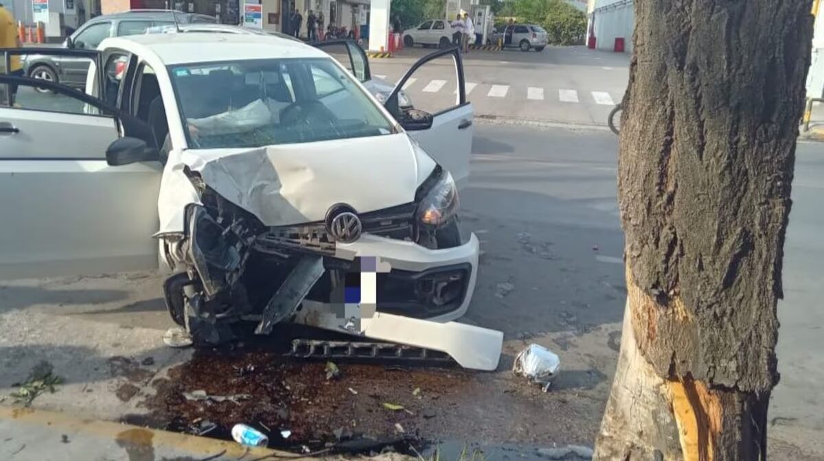 A alta velocidad y en estado de ebriedad, chocaron contra un árbol y uno falleció en Córdoba