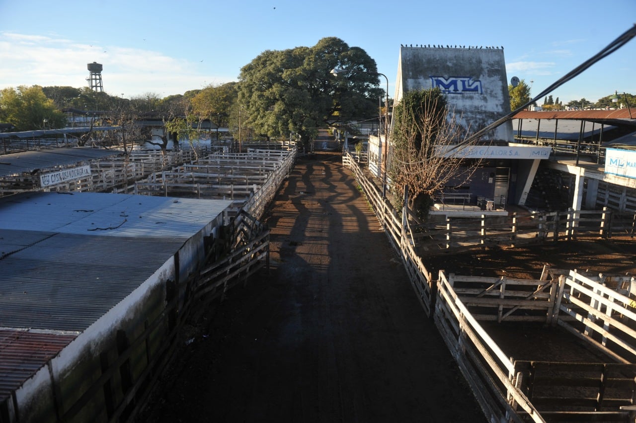 Paro agropecuario en el Mercado de Liniers por suspensión de exportaciones de carne.