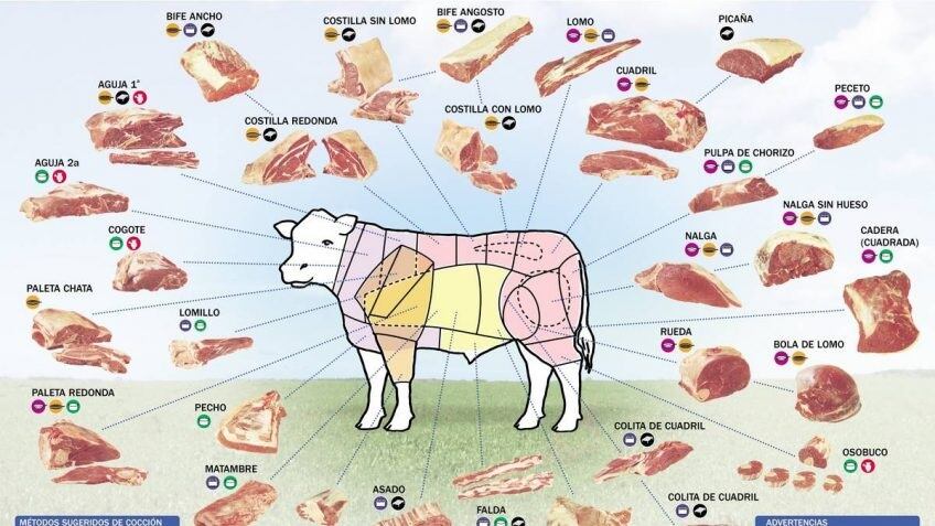 Todos los cortes de carne bovina.