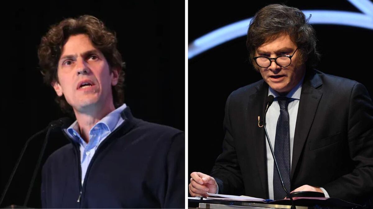 Milei vs. Lousteau: catarata de retuits en contra del senador radical