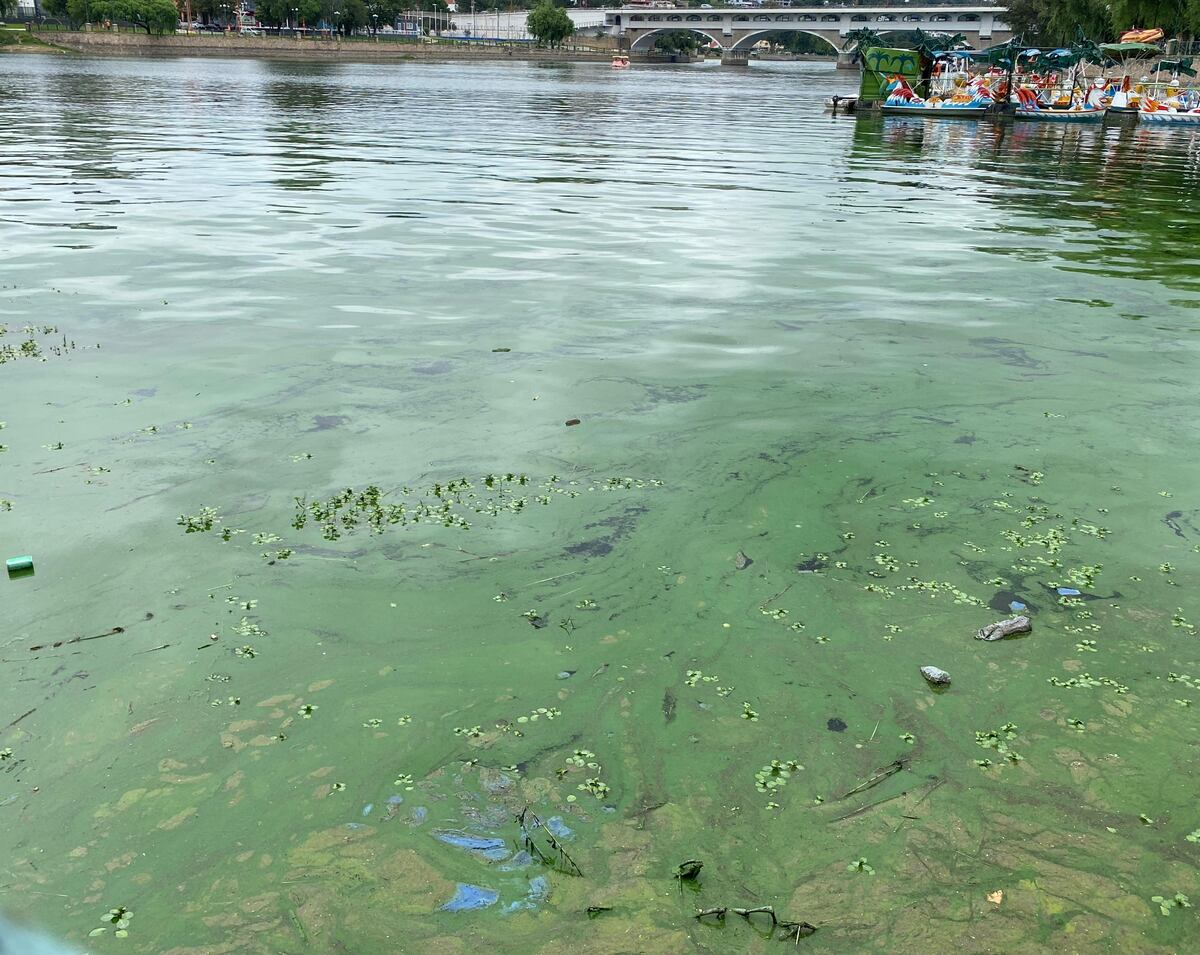 Lago San Roque: la Justicia intimó al Gobierno provincial tras las denuncias del Municipio de Carlos Paz