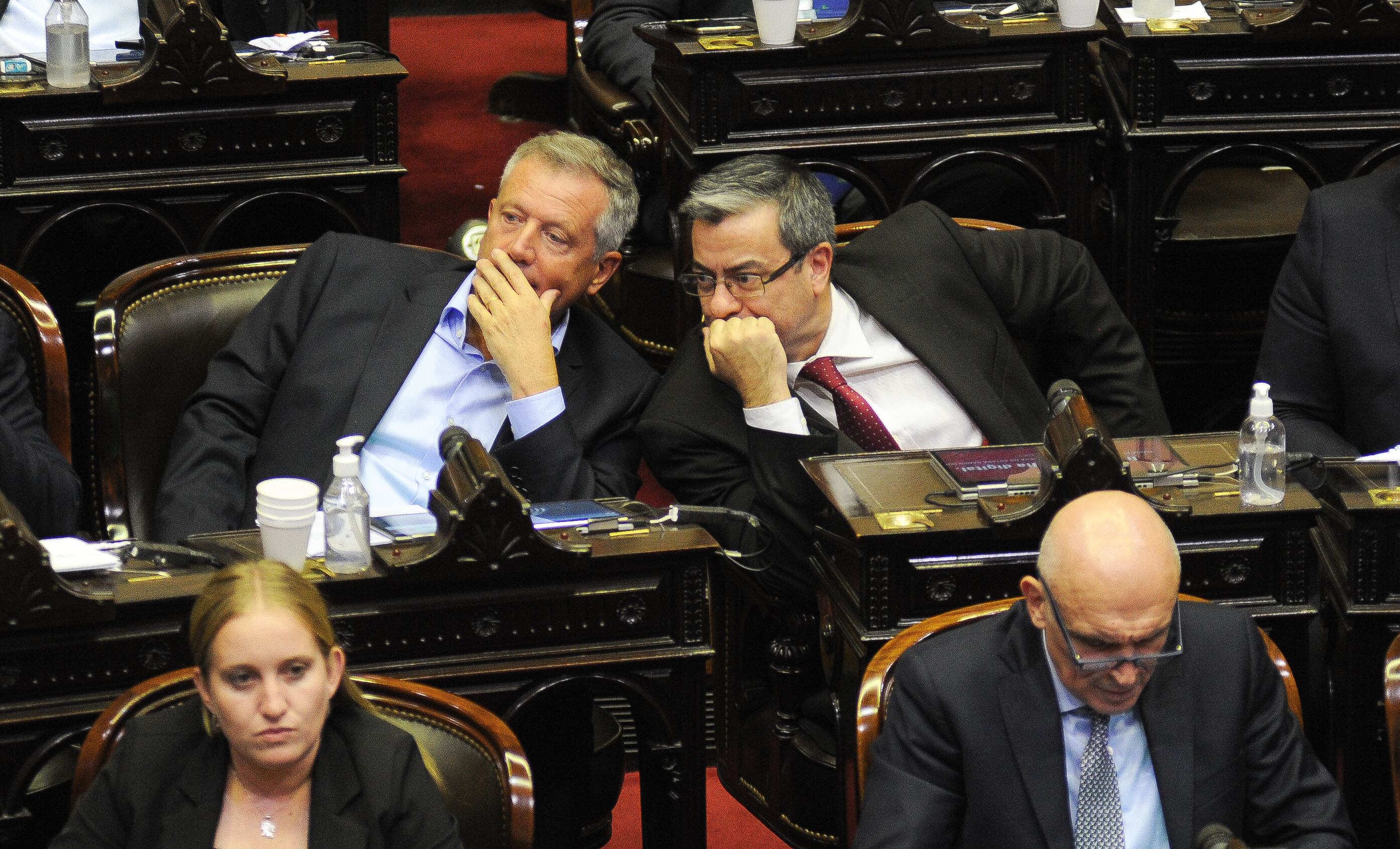 Germán Martínez, el presidente del bloque del Frente de Todos.
Fotos Federico López Claro