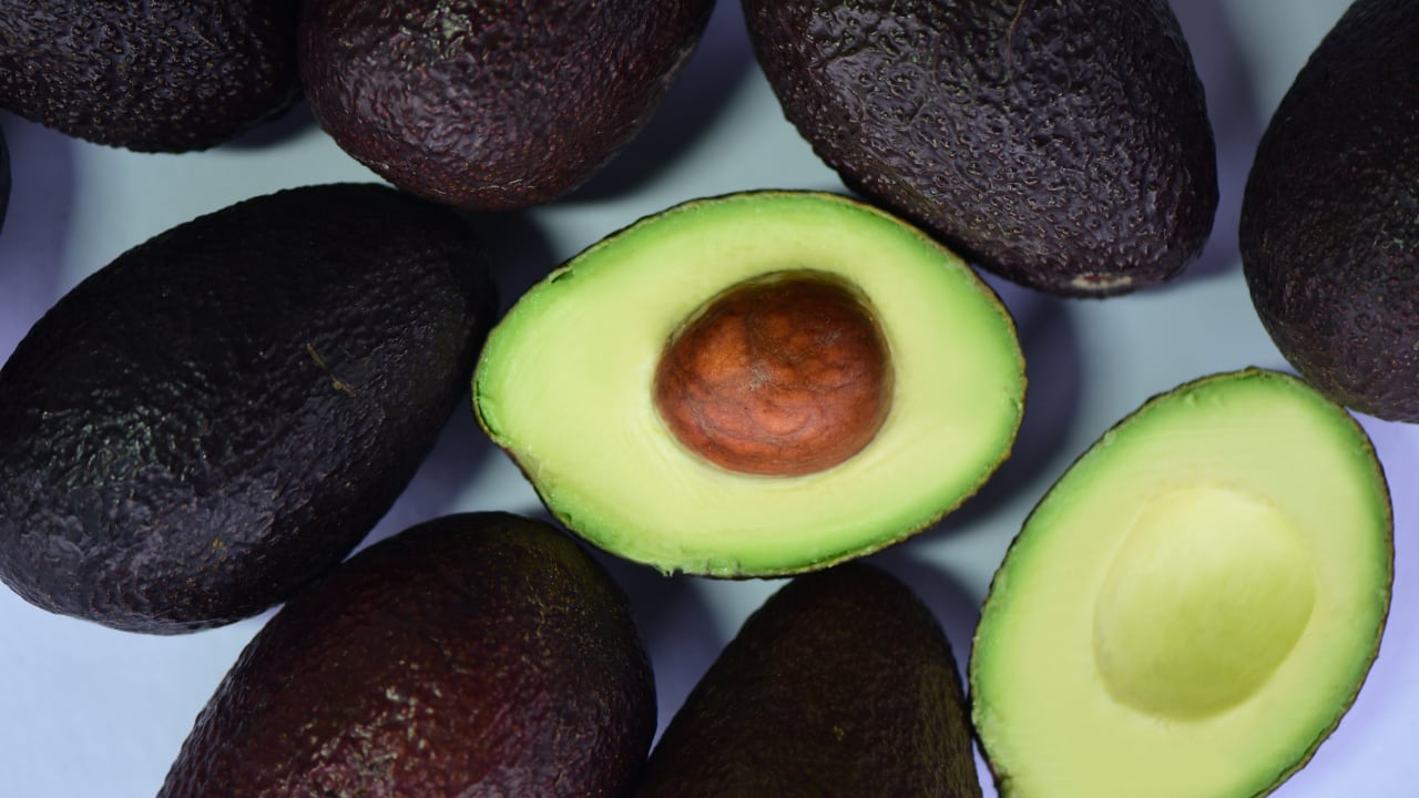 Palta.