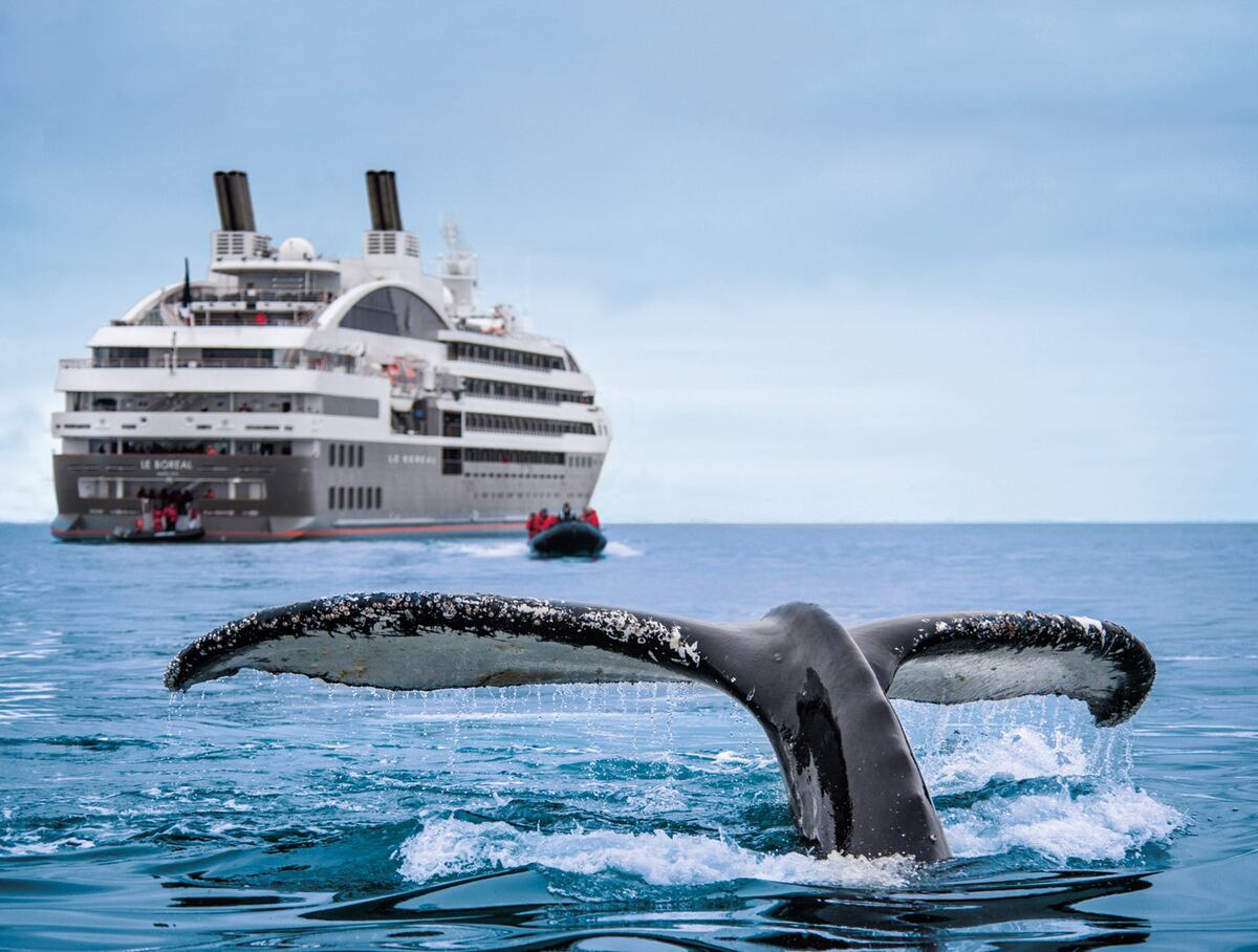 Partirá desde Ushuaia a la Antártida el primer crucero 100% LGBTIQ+