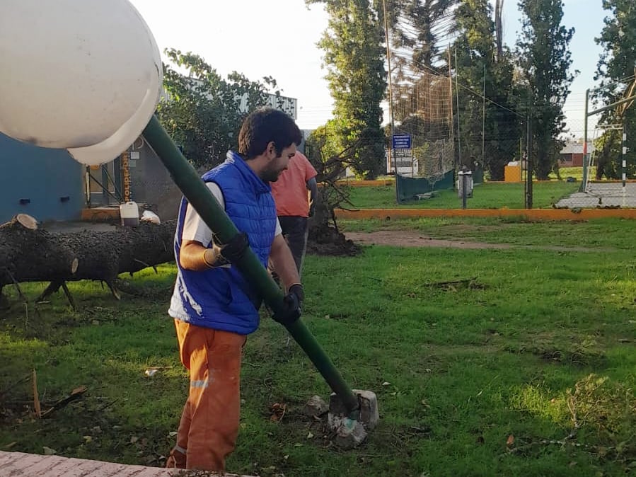 Caídas de árboles en Arroyito