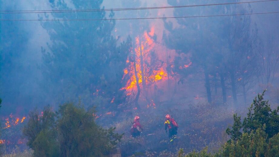 Los incendio forestales en el El Hoyo habrían sido intencionales.