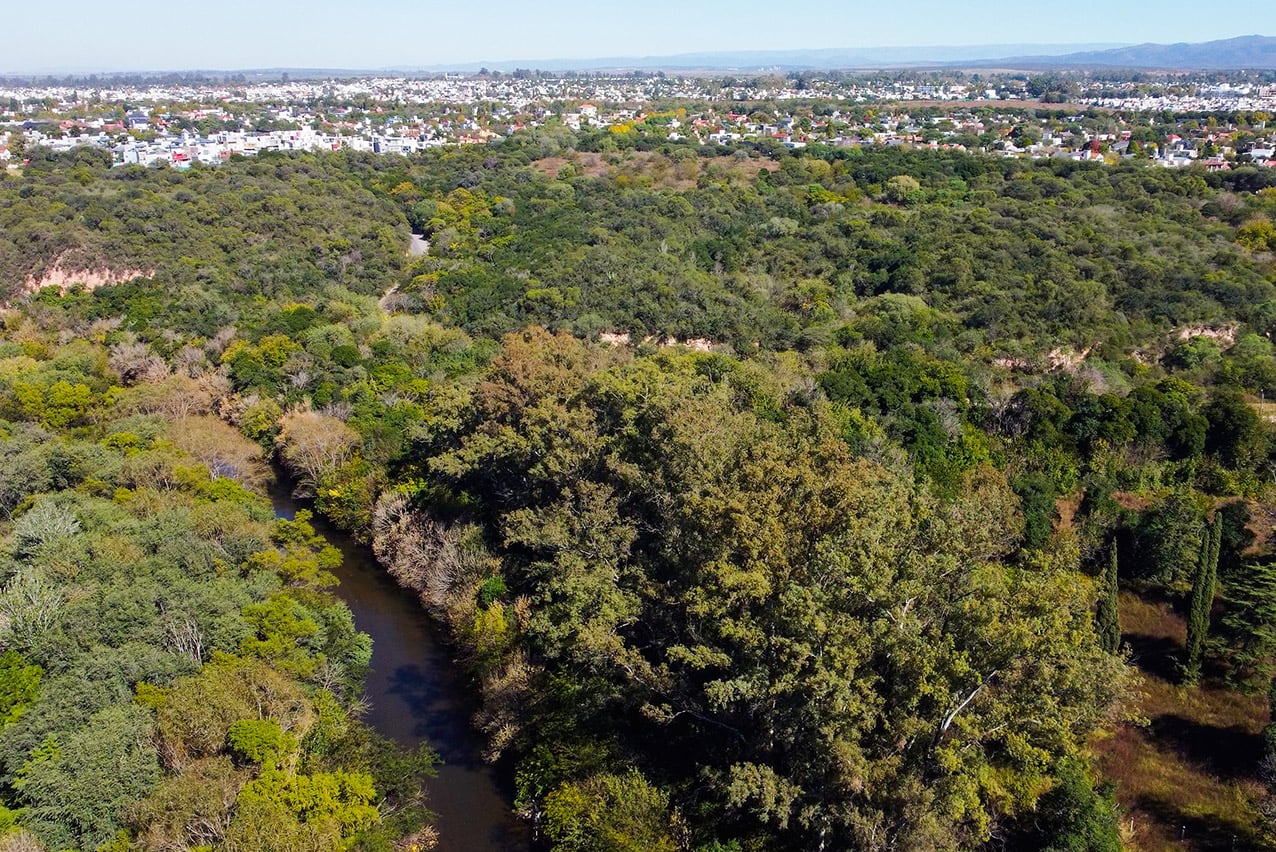 La Reserva Natural Urbana San Martín, el bosque en medio de la Ciudad de Córdoba. (Foto: Municipalidad de Córdoba)