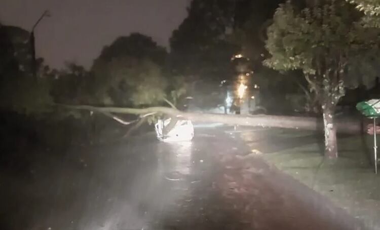 Graves consecuencias en Oberá tras el temporal que afectó a la región.