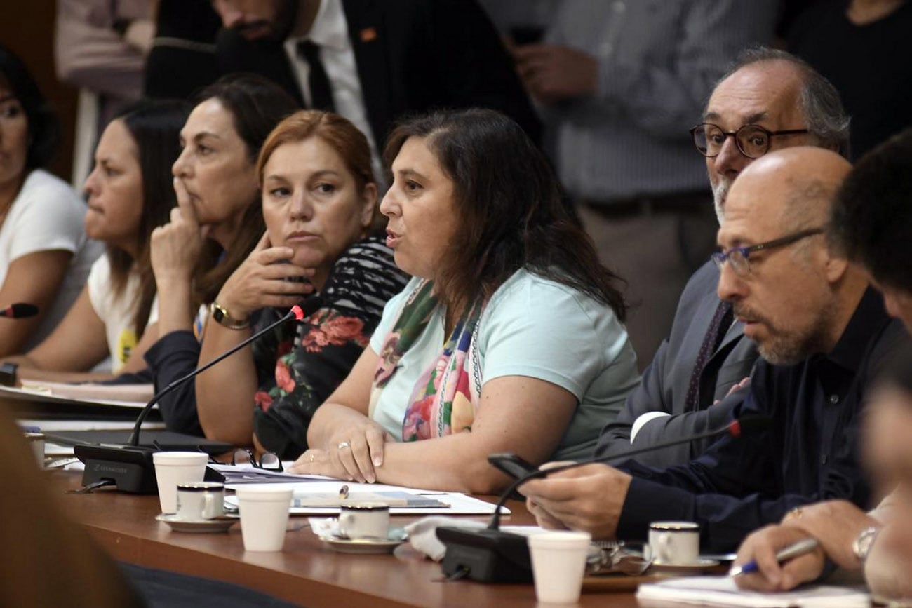 La comisión de Juicio Político de la Cámara de Diputados se reunió este jueves para escuchar a legisladores oficialistas y opositores, asociaciones de juristas y de derechos sociales y abogados, quienes fundamentarán sus pedidos de enjuiciamiento a la Corte Suprema de Justicia.  (Federico López Claro)