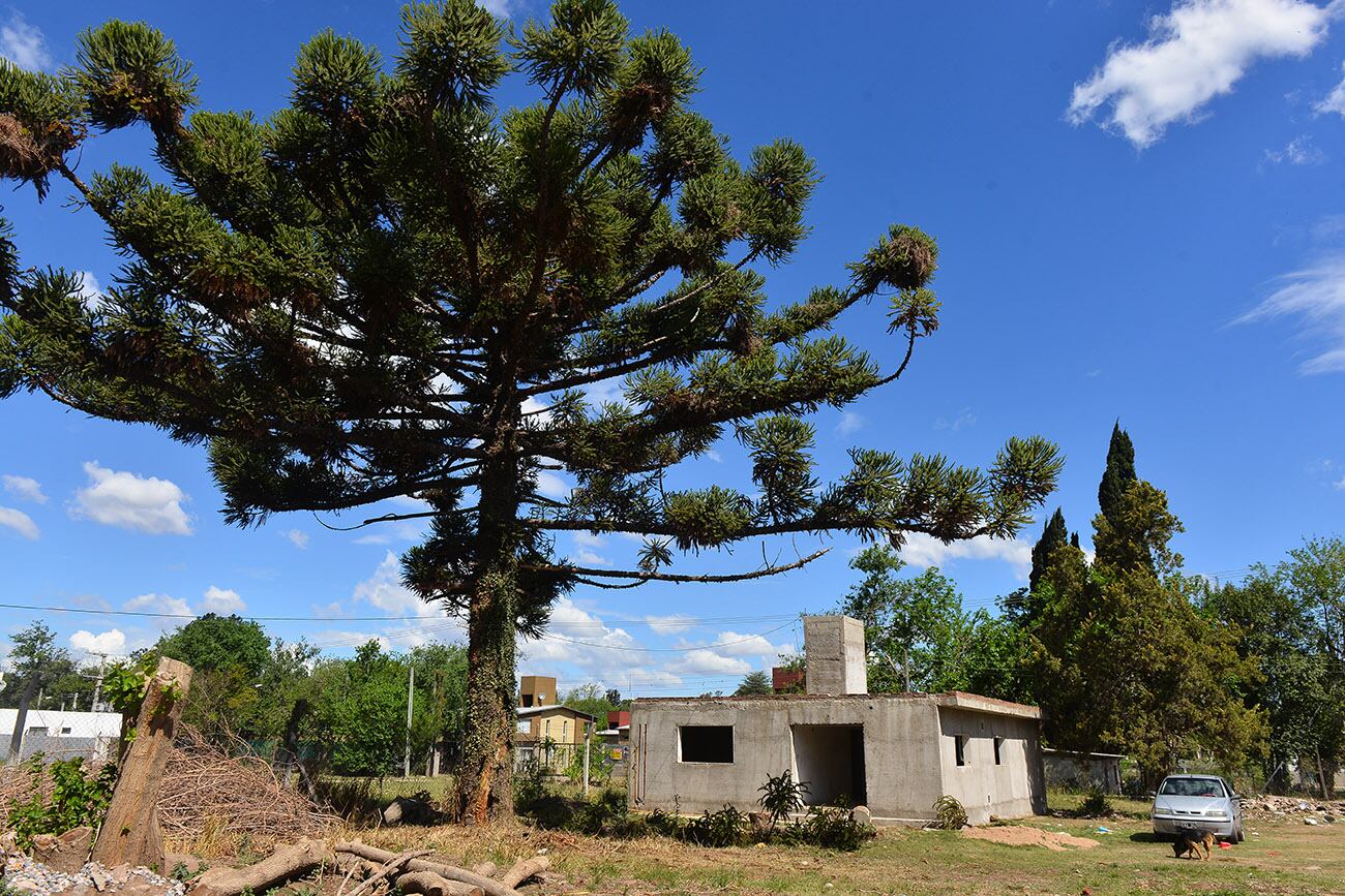 Un grupo de familias de Villa Rivera Indarte podría ser desalojada el miércoles que viene.