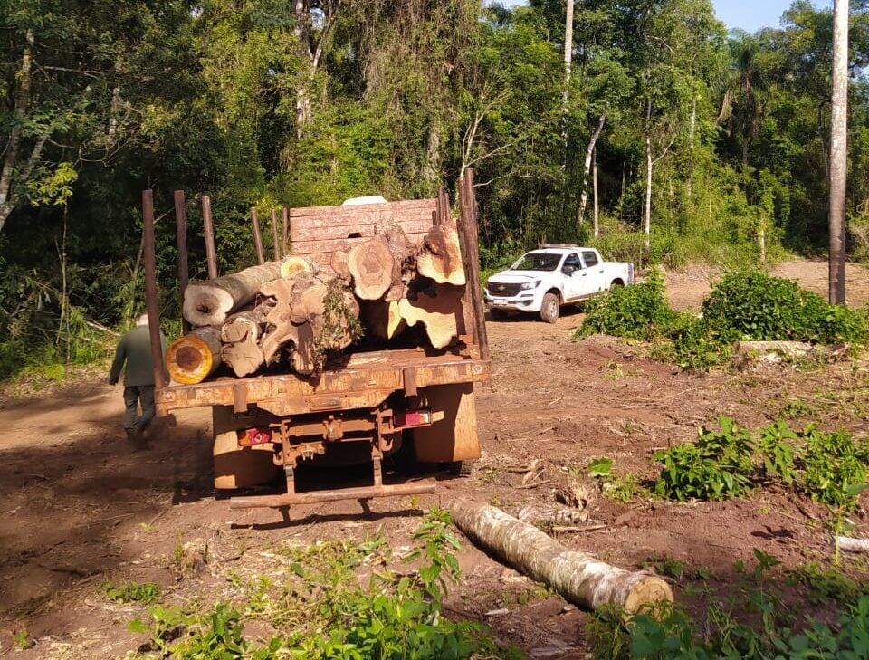 Guardabosques decomisaron madera nativa en Colonia Delicia