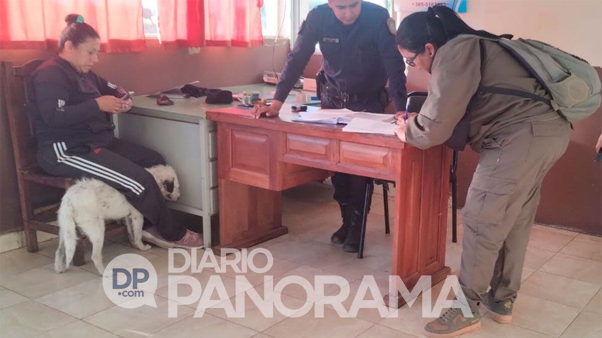 El perro ya fue rescatado y está en manos de la Justicia.