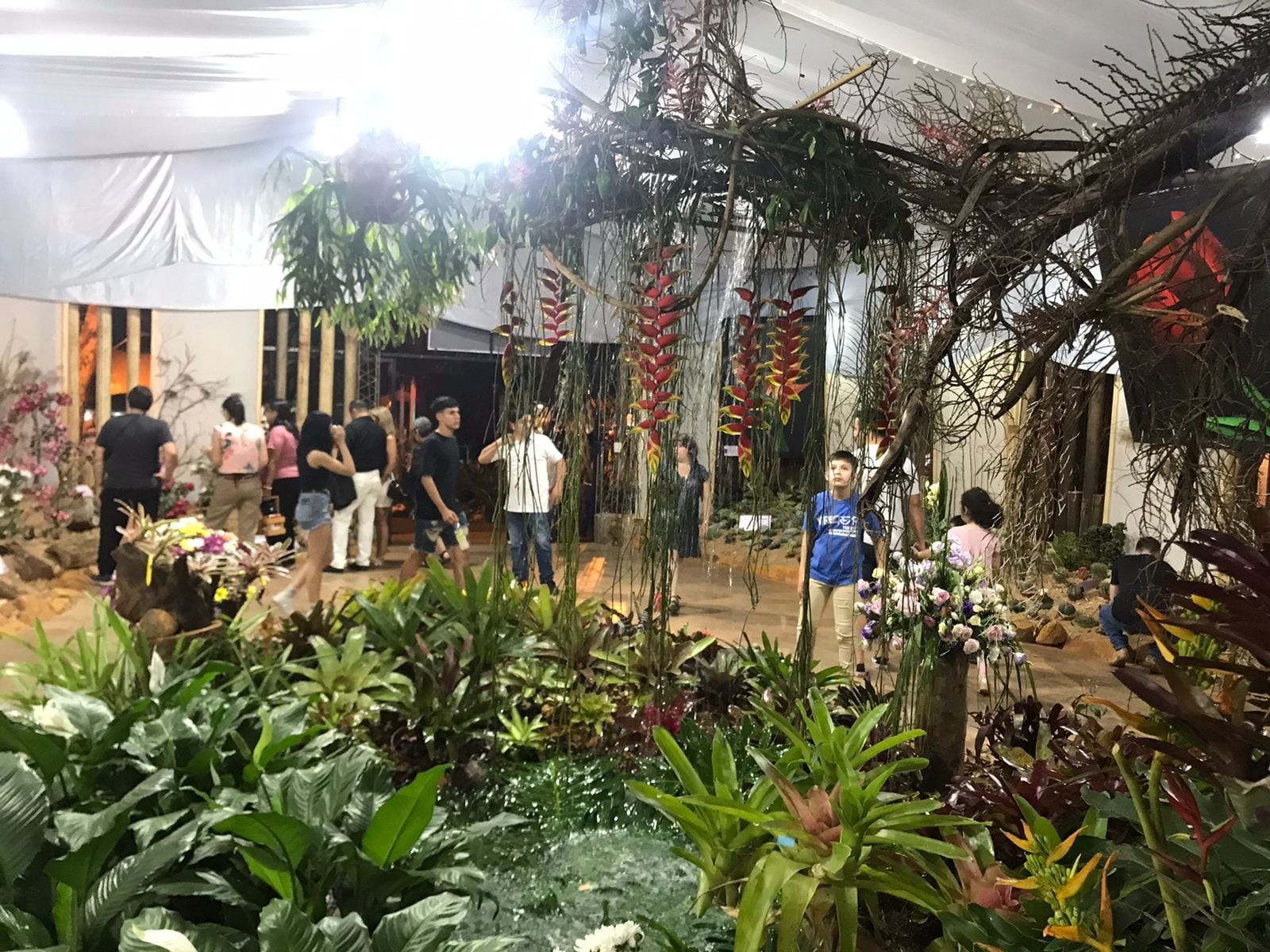 Exitosa Fiesta Nacional de la Orquídea y Provincial de la Flor en Montecarlo.