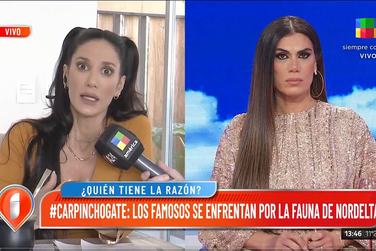 Silvina Escudero habló sobre la superpoblación de carpinchos en Nordelta en "Intrusos". (Foto: captura de pantalla)