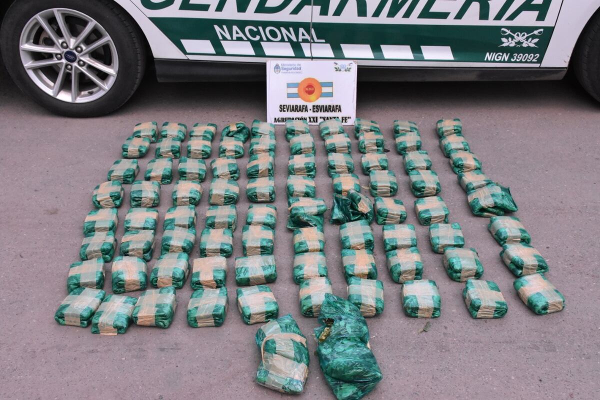 Gendermería encontró 50 kg de hojas de cocaína en Rafaela