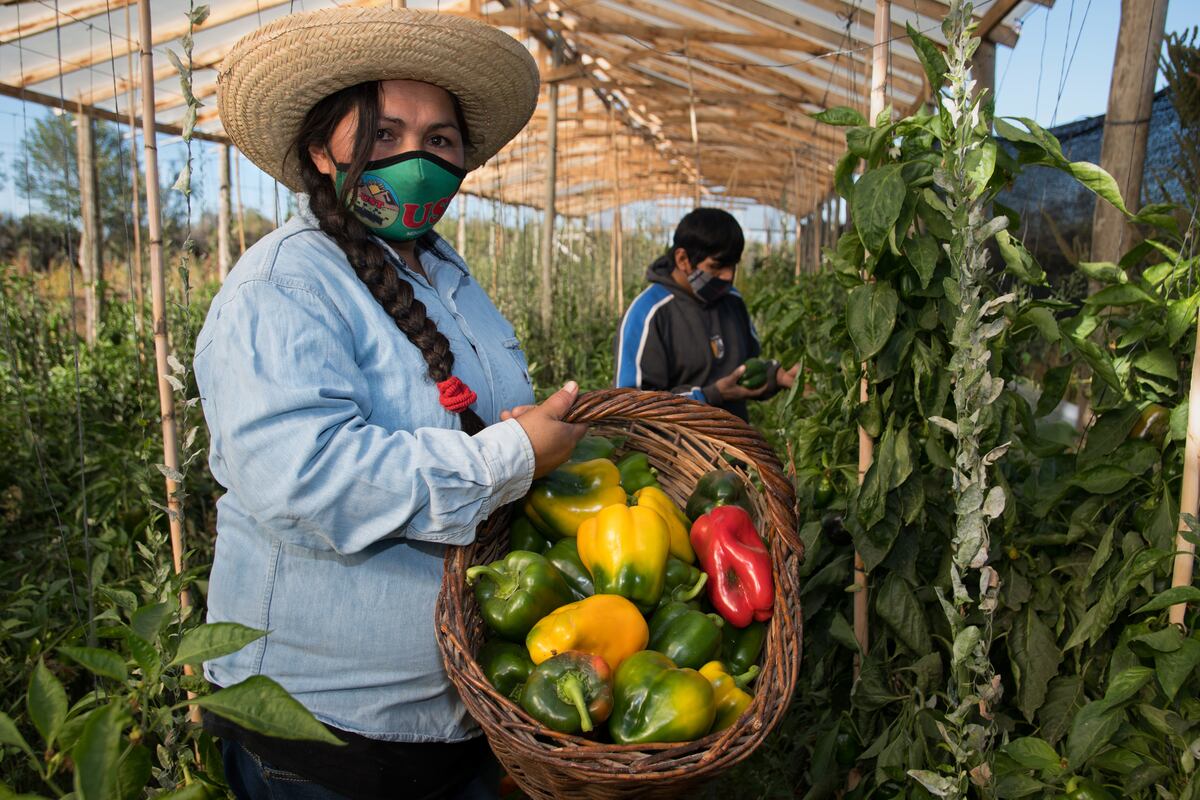 Mendoza tendrá un Almacén Campesino, agroecológico y cooperativo en Ciudad