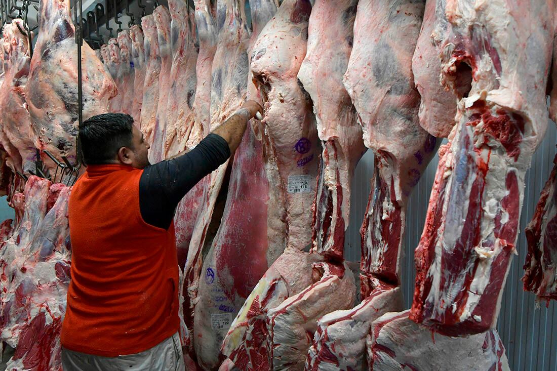 La exportación de carnes estará prohibida hasta 2023. Foto: Clarín.