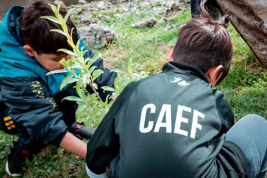 Municipalidad junto con el Club de Educación Fueguina realizó jornada de forestación