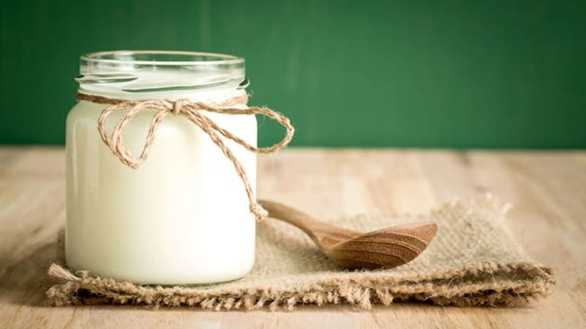 Tip de ahorro y saludable: cómo preparar yogurt casero en pocos pasos