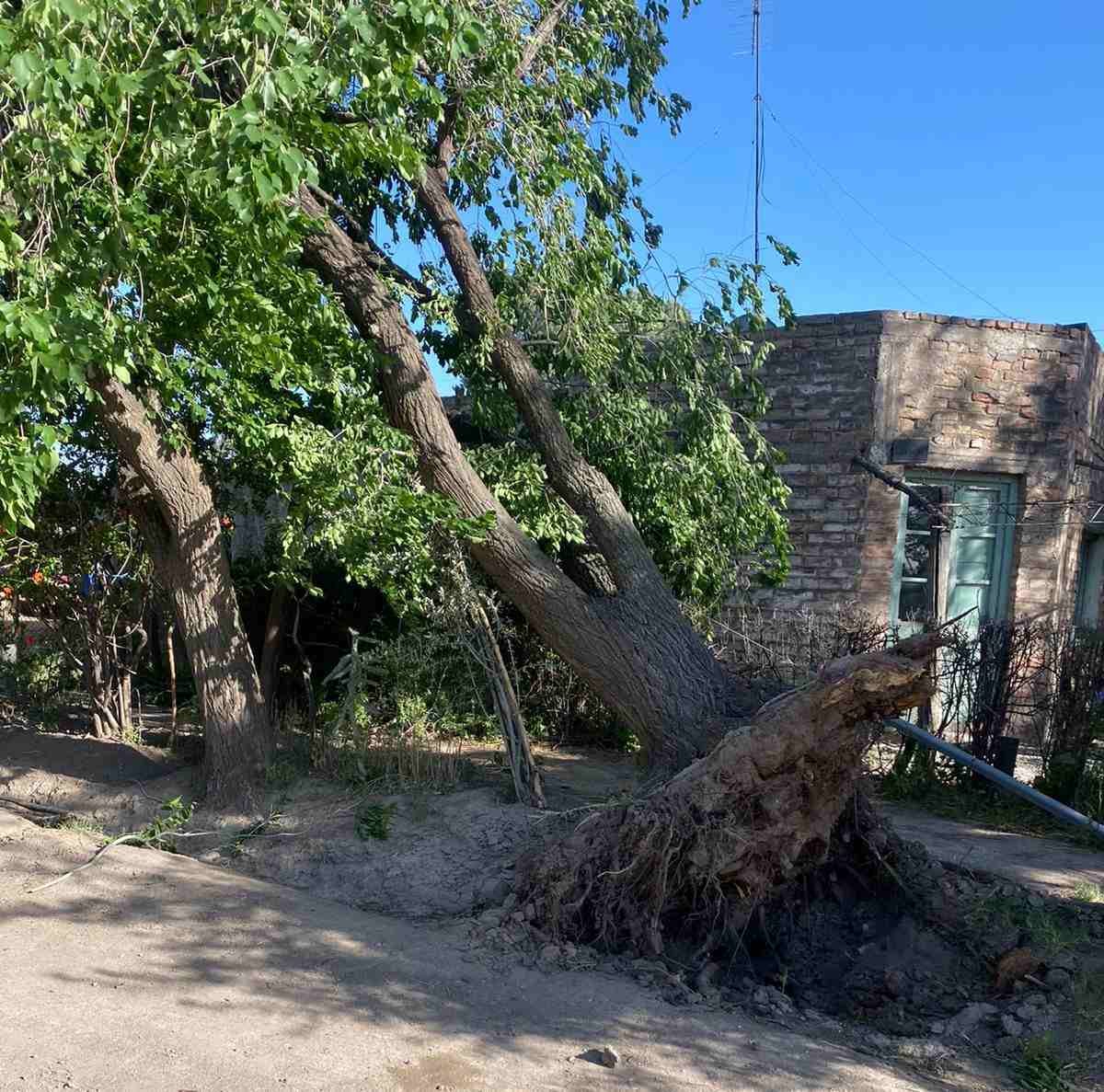 El viento provocó grandes inconvenientes en General Alvear.