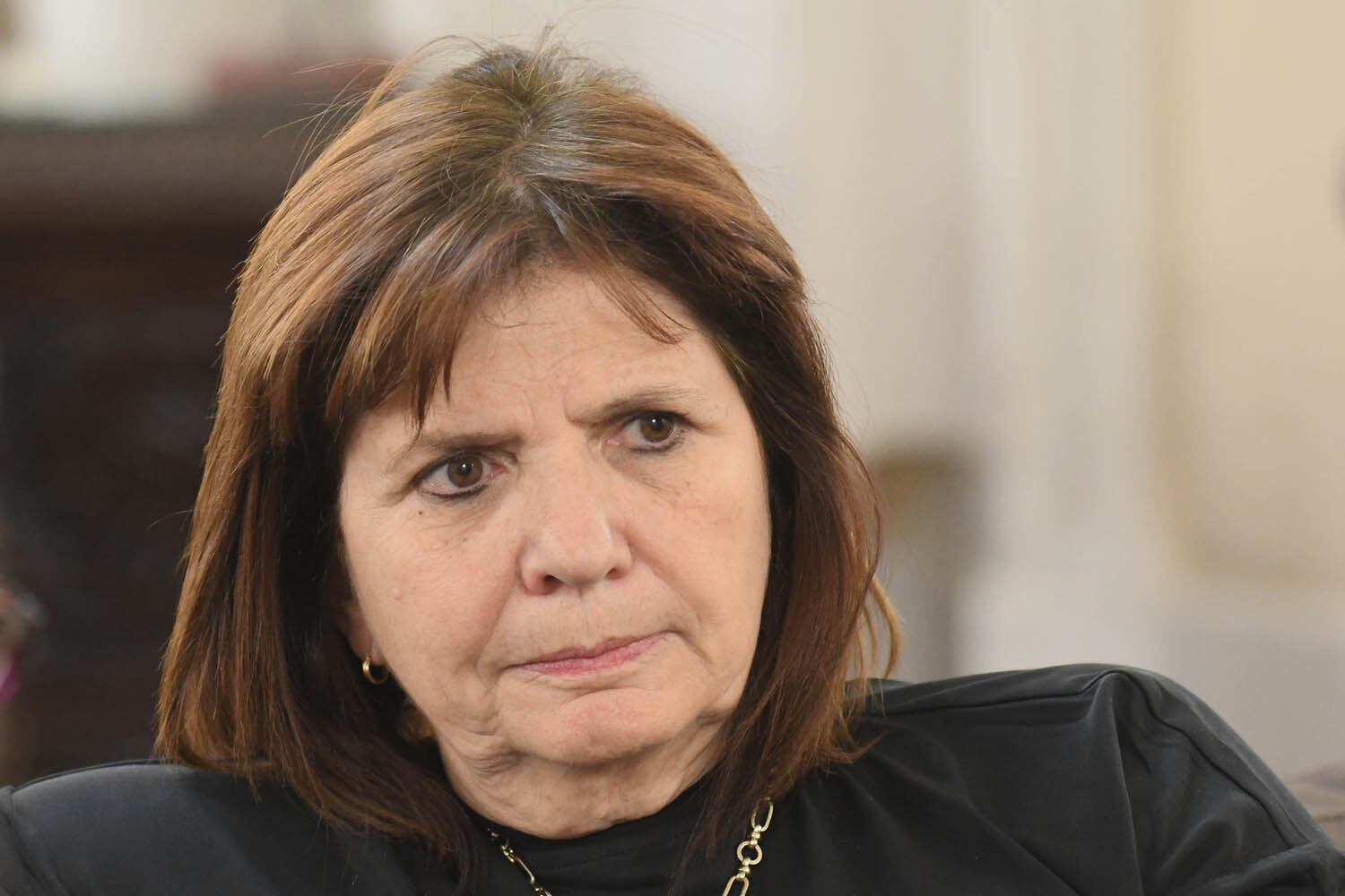 Patricia Bullrich se refirió a que el Gobierno nacional habría protegido los intereses de Jones Huala. 
