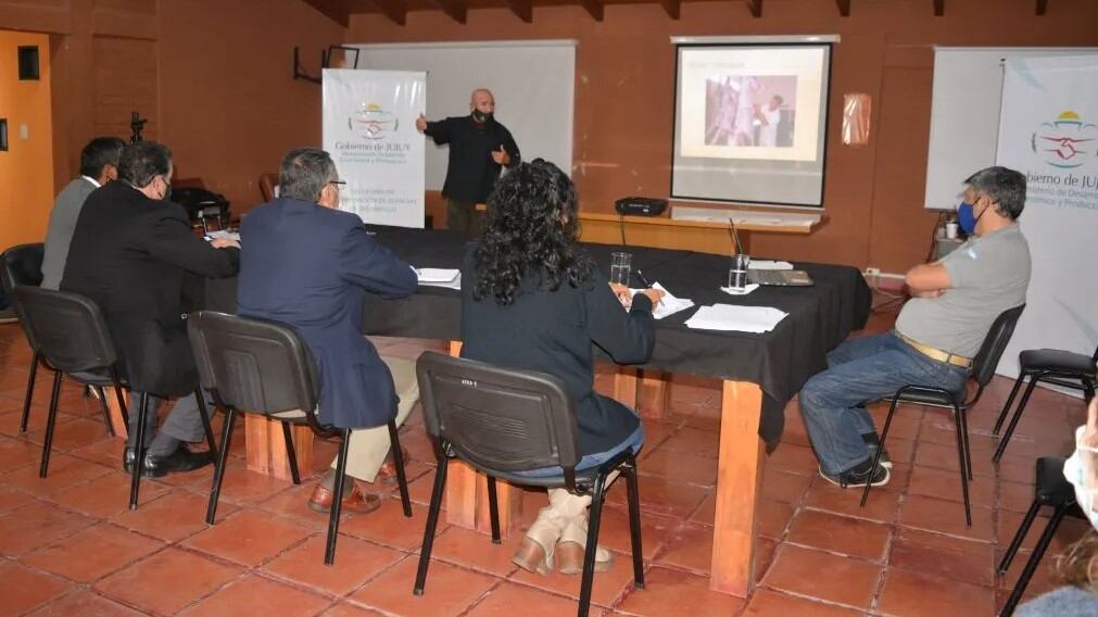 Técnicos del Ministerio de Producción presentaron a la delegación del Senasa un completo informe acerca del potencial de los productores jujeños nucleados en la Codepo.