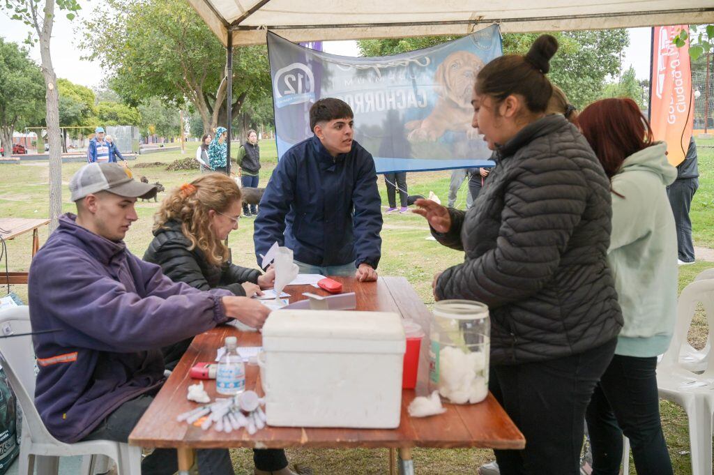 Campaña Vacunación Antirrábica en Arroyito 2024