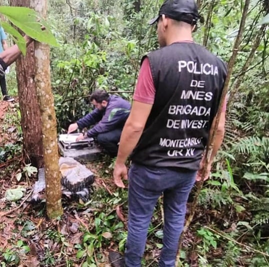 Incautan millonario contrabando de marihuana en Montecarlo.