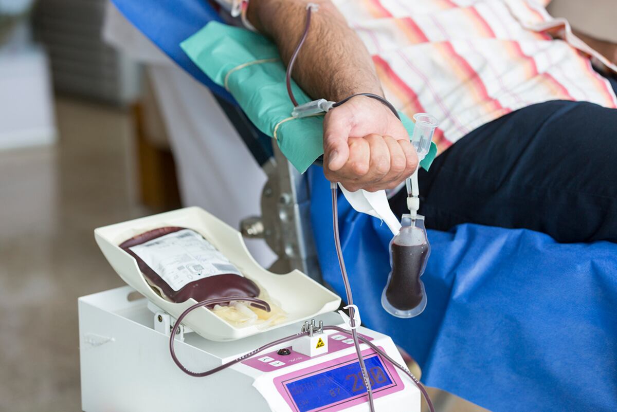 Donación de sangre y médula ósea en Córdoba: dónde donar en la capital y en el interior
