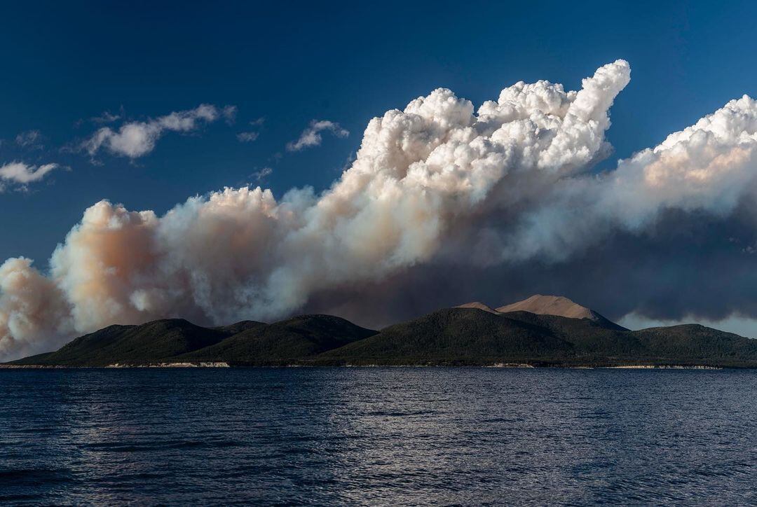 Los incendios en Tierra del Fuego comenzaron a fines de noviembre.