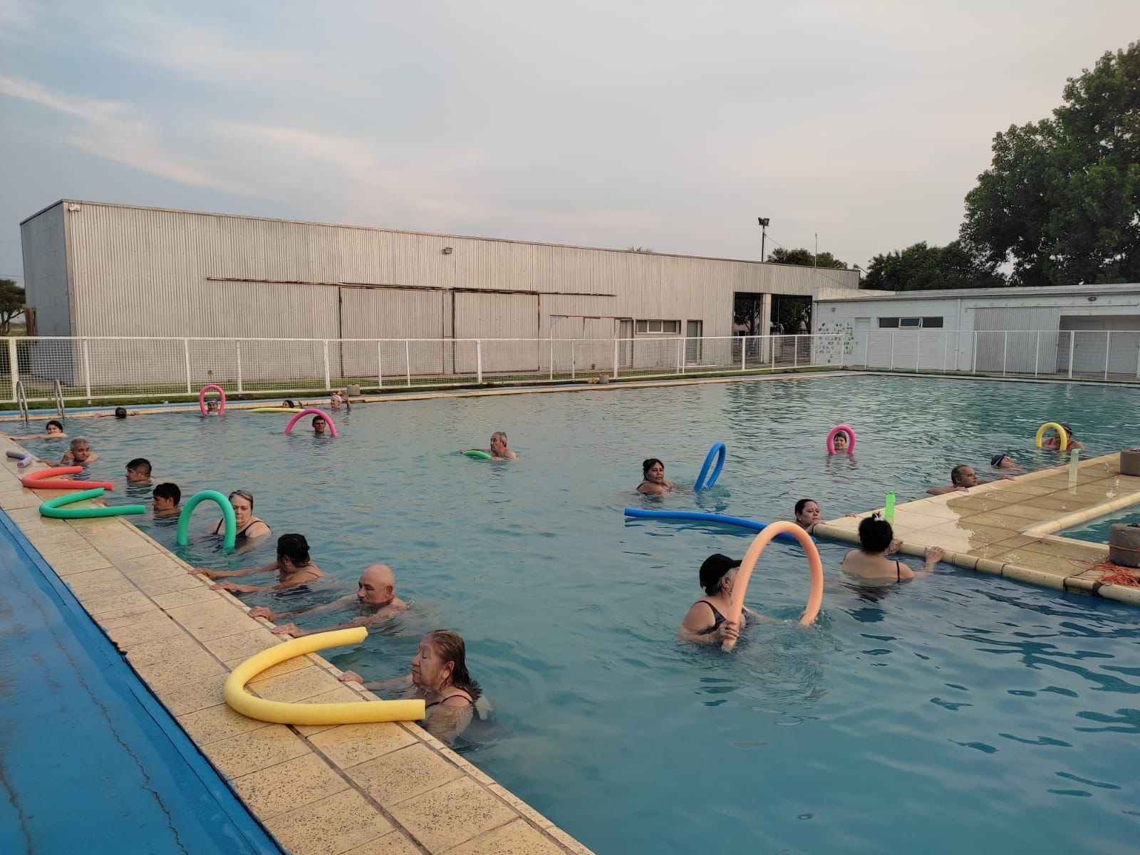 Natación para adultos en el "Verano Acá"