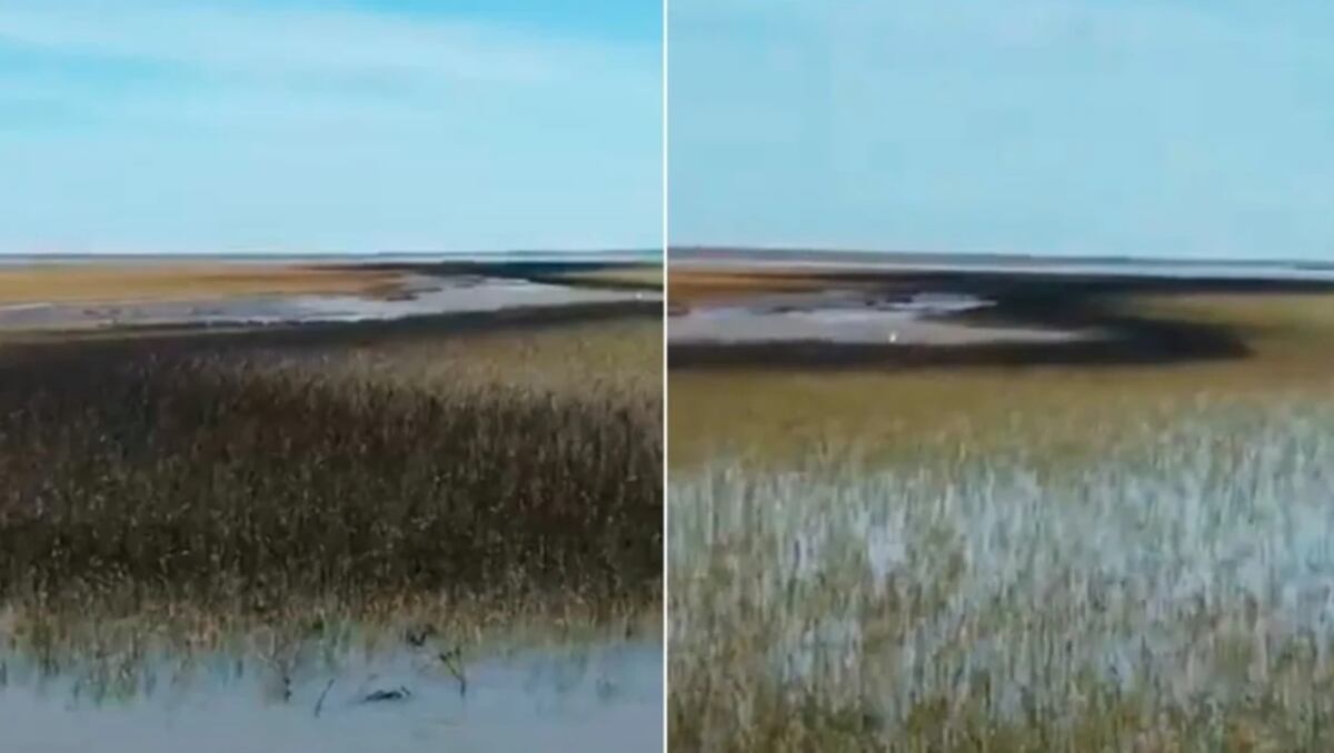Detectaron un segundo derrame en la Ría