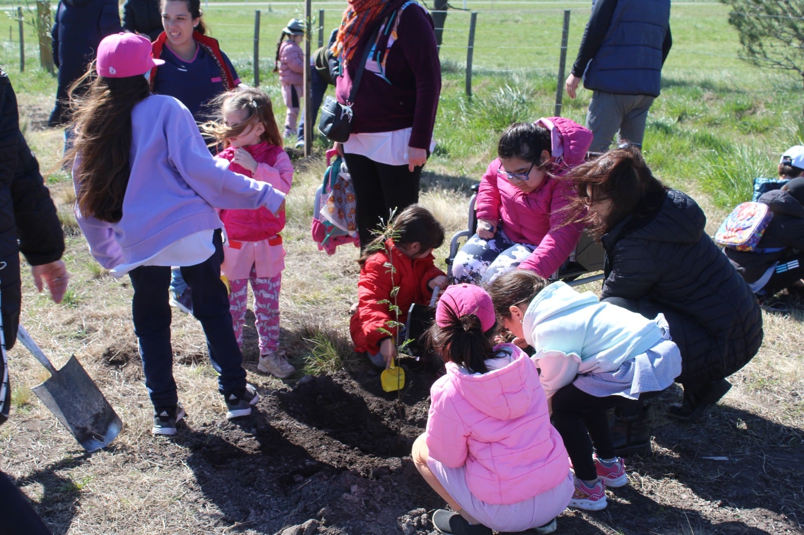 Tres Arroyos: Se realizó la jornada de forestación en el Polo Educativo