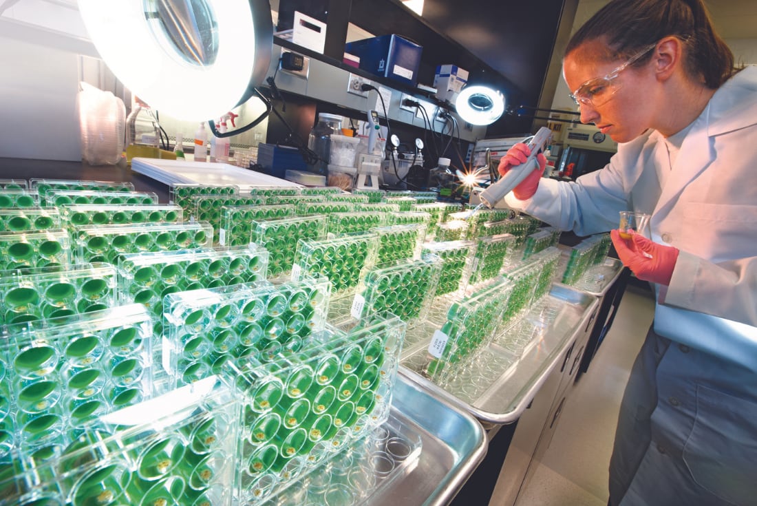 Bayer, mediante el uso de herramientas digitales aplicadas, ayuda a los productores a tomar las mejores decisiones para sus campos. (Foto: Bayer)