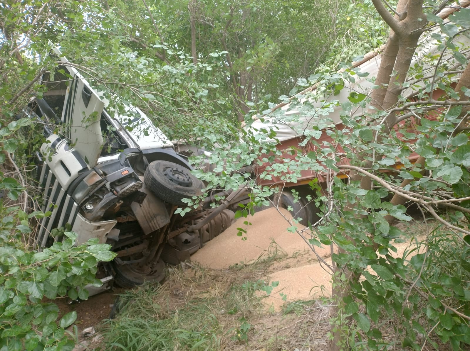 El vehículo siniestrado en barrio Palmar.