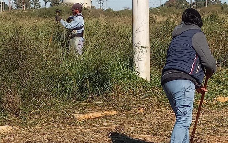 Itaembé Guazú: el IProDHa coordina desmalezamientos y limpieza