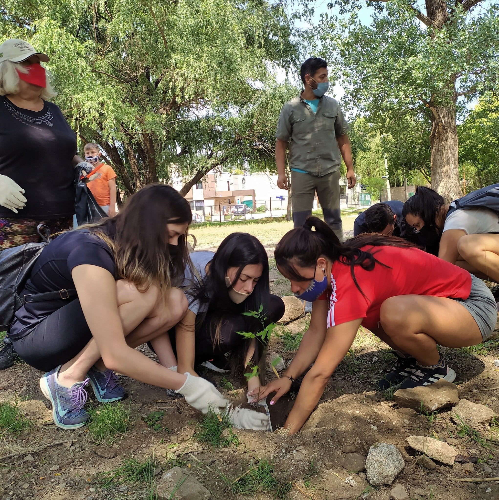 Voluntarias plantando una de las especies nativas.