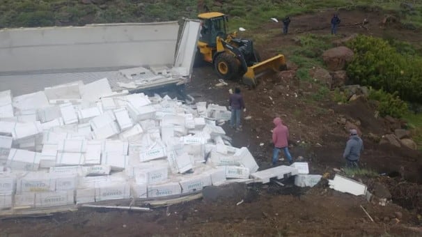 Vecinos de la zona saquearon cientos de cajas de salmón.