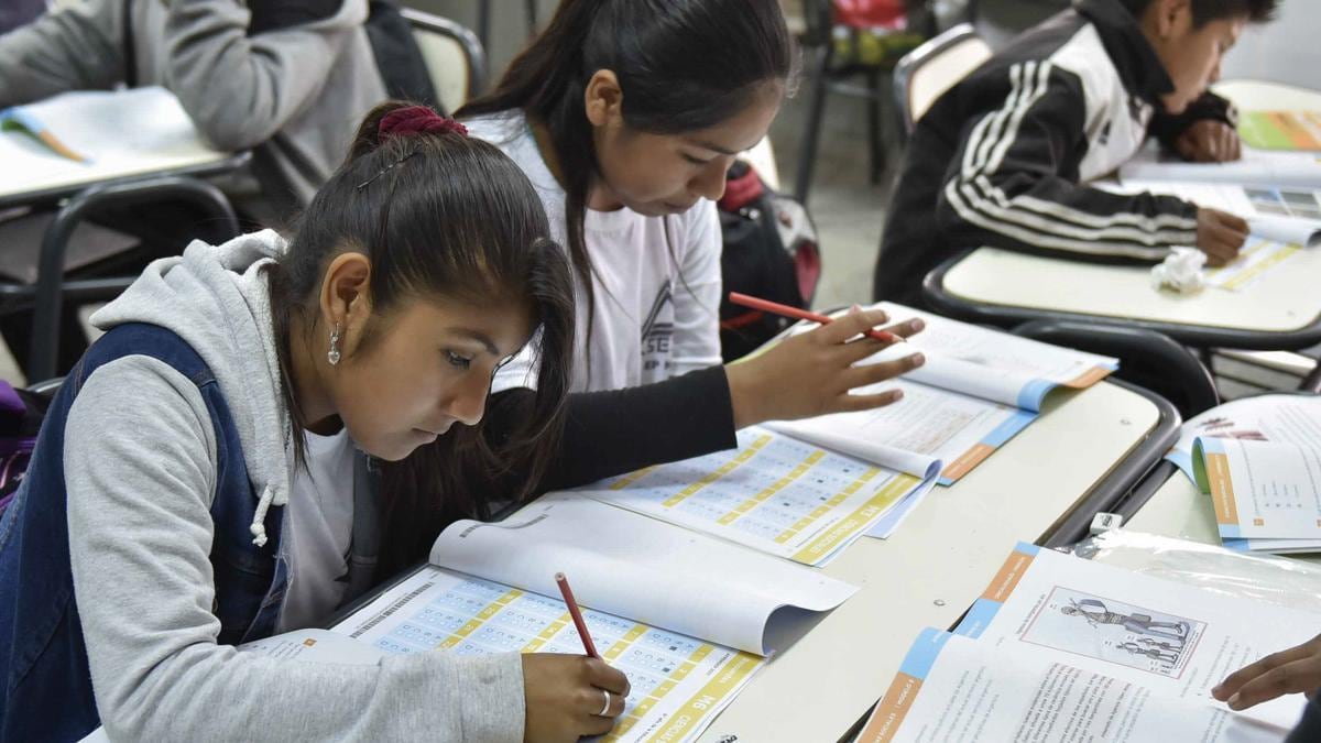 Afirman que en el plan educativo de la provincia no se tiene en cuenta a la geología.