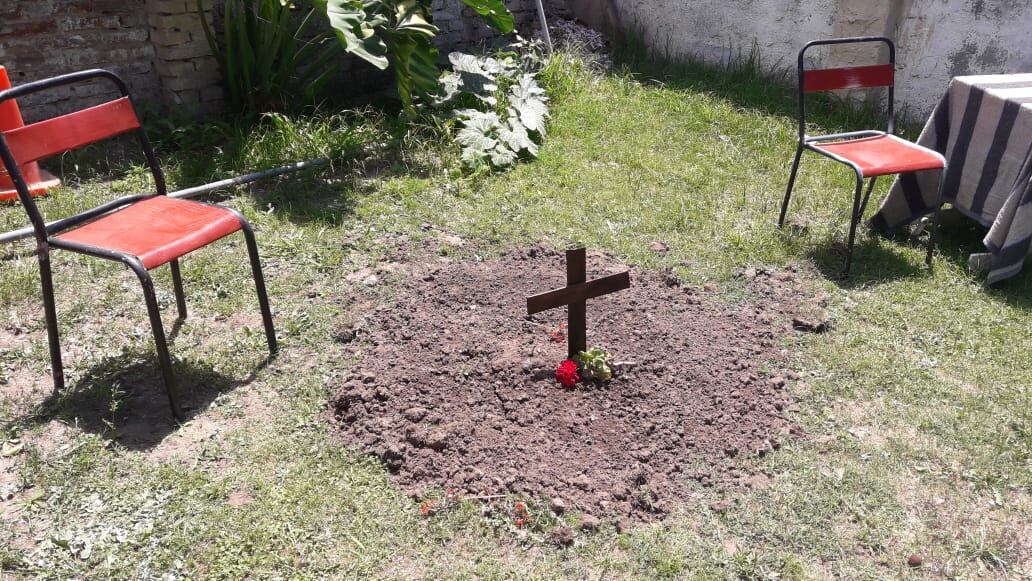 La familia que había adoptado al carpincho "Pancho" en Santa Fe confirmó que el animal murió. (@movil_kike)