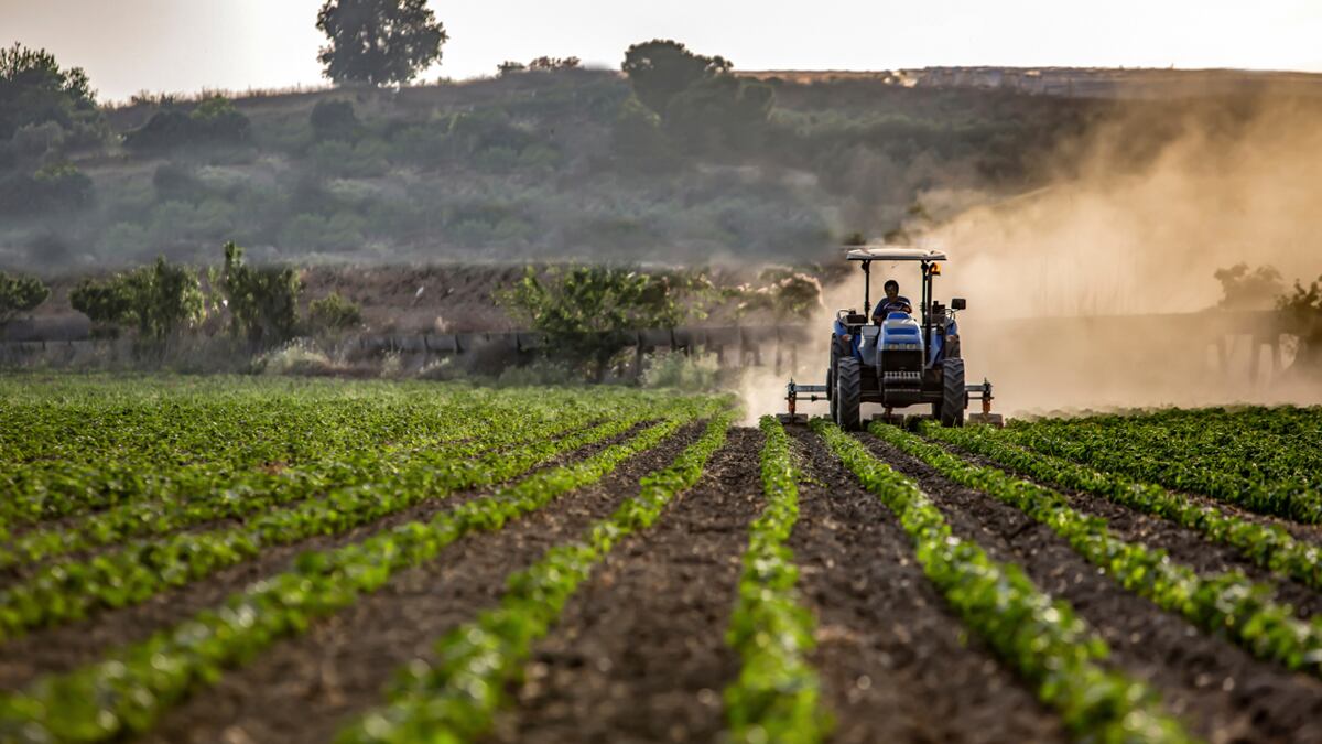 Se registraron subas en el sector agropecuario, la minería y la energía.