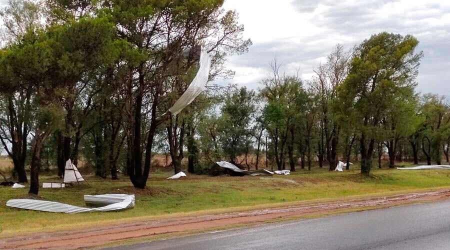 Las chapas arrancadas de los galpones cortaron cables de energía 