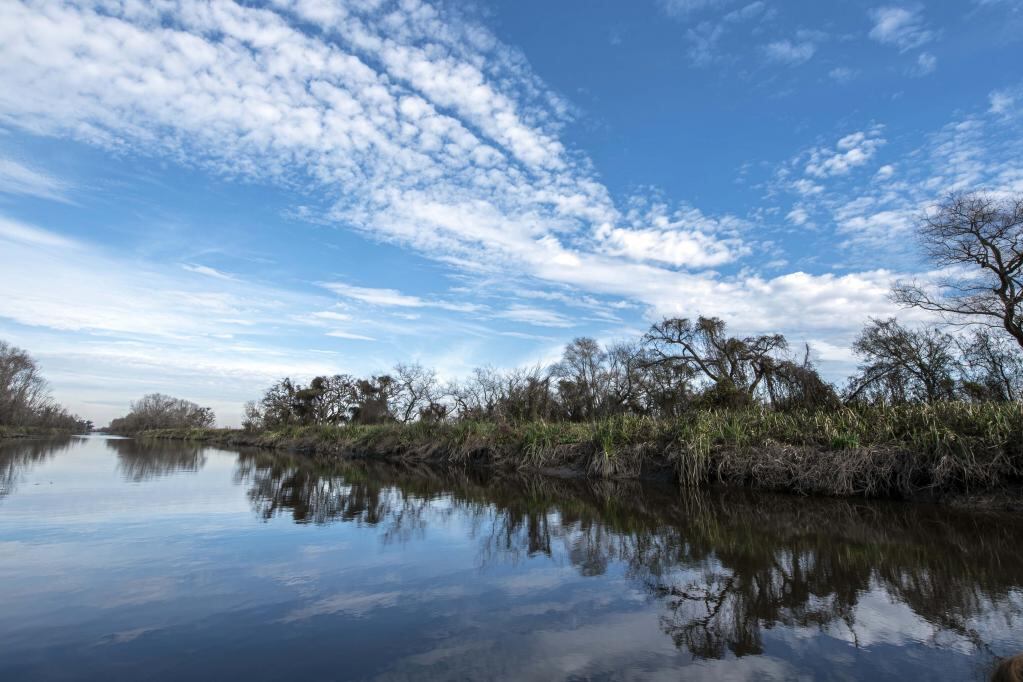 El increíble parque nacional Ciervo de los Pantanos. Foto: Gentileza Parques Nacionales