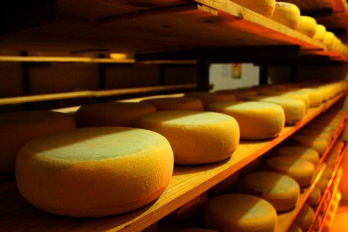 Semana del queso de Tandil: cómo es el “banquete”, el producto más buscado de la ciudad