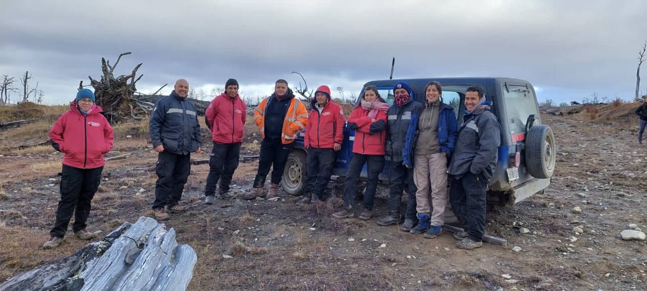 Tolhuin: realizaron acciones de restauración del bosque fueguino