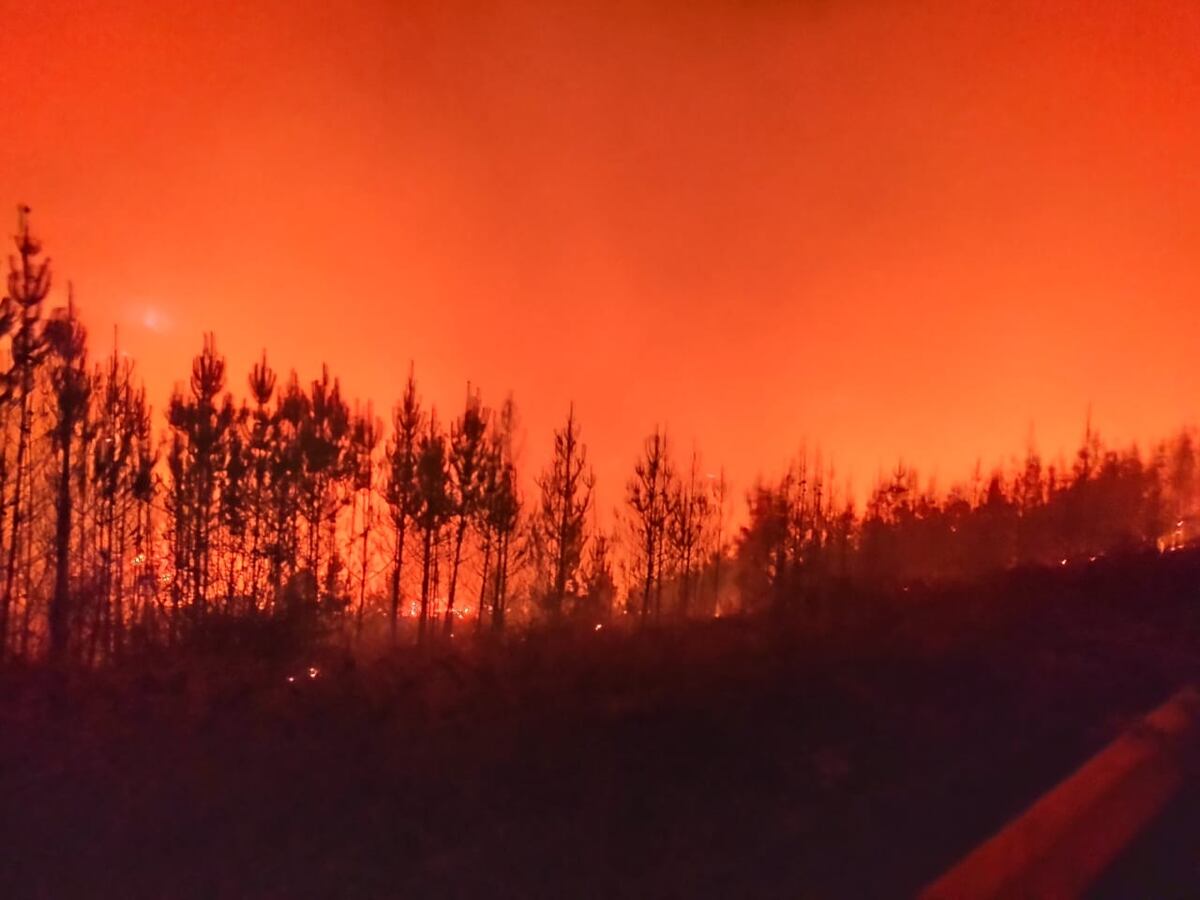 Incendios en Chubut: hay 12 personas desaparecidas en la zona del fuego