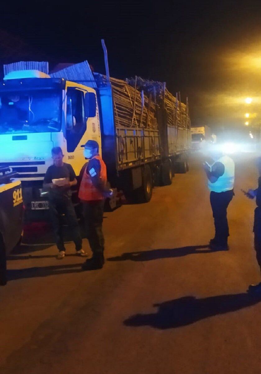 Transportaba tacuaras con documentación vencida y terminó con la carga secuestrada.