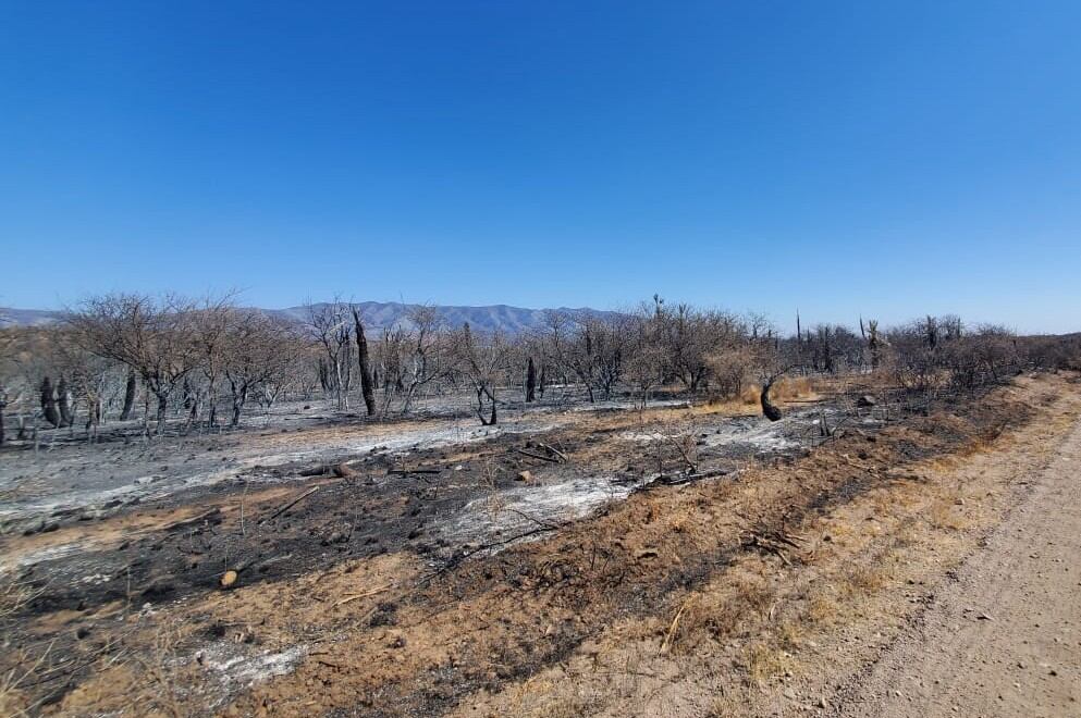 Incendios: la Comisión de Emergencia Agropecuaria solicitó declarar zona de desastre a los sectores afectados por el fuego.