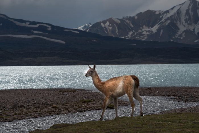 Laguna del Diamante.