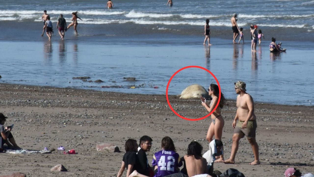 Las playas de Rawson se llenan de vecinos que van a disfrutar del día.